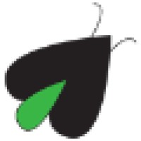 Digital Firefly Marketing logo - Similar company to Hjp Production Re
