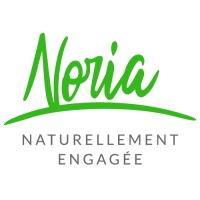 NORIA logo - Similar company to Phoenix Coms&Co