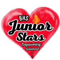 Junior Stars Teen Network (Mentorship) logo - Similar company to Teensnest