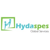 Hydaspes Global Services