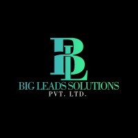 BigLeads Solutions Pvt Ltd logo - Similar company to Itruste.In