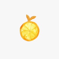 ORANCH logo - Similar company to Oranch
