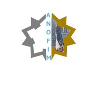 ANOFIM (ex AIDEMI) logo - Similar company to Sales-Automation.Ai