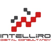 Intelliro logo - Similar company to Wavetech Infomatics