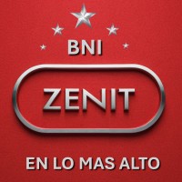 Zenit Negocios logo - Similar company to Dependable Computing Systems Group