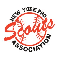 New York Professional Scouts Association logo - Similar company to Southeast Cybersecurity Summit