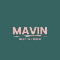 Mavin - soluzioni per aziende logo - Similar company to Abitraining - Ente Di Formazione