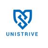 Unistrive Business Solution logo - Similar company to Blg Technologies (P) Ltd.