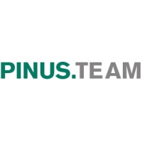 PINUS.TEAM Managementgesellschaft Gmbh logo - Similar company to Setting Milestones Gmbh