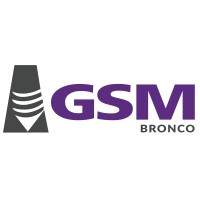 GSM BRONCO logo - Similar company to Cecat Industries S.A De C.V