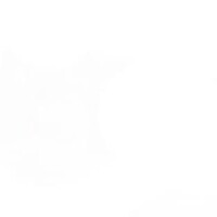 Sss Yönetim Danışmanlığı Ltd. Şti.