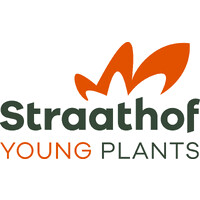 Straathof Young Plants B.V logo - Similar company to Clarus Reinigen