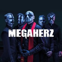 MEGAHERZ logo - Similar company to Exertis Enterprise Dach
