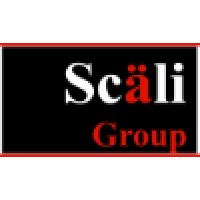Scali Group, LLC logo - Similar company to Bustamante & Co.