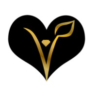 Devoshion logo - Similar company to Globalsecuretech Advisors, Llc