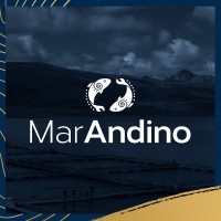 Mar Andino Latam logo - Similar company to Advanced Security S.A.C