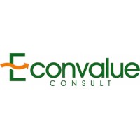 Econvalue Consult logo - Similar company to Professional Alliance For Development