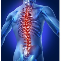 Excel Rehabilitation Services, Llc