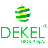 Dekel Group SpA. logo - Similar company to Mokolora