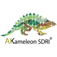 AIKAMELEON logo - Similar company to Aiunivers