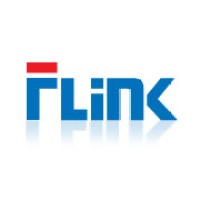 Flink Solutions logo - Similar company to Dewii Shield