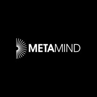 METAMIND logo - Similar company to Metamind