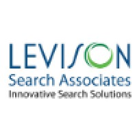 Levison Search Associates logo - Similar company to Rubin Anders Experts