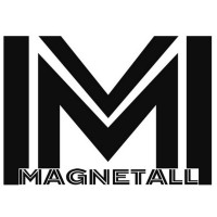 MAGNETALL logo - Similar company to Anadifer - Indústria E Comércio De Metais, Lda
