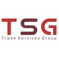 TSG LLC logo - Similar company to Virtual Era Ltd.