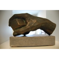 Hand- en polscentrum