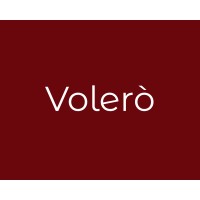 Volero Tourism logo - Similar company to Moonoon