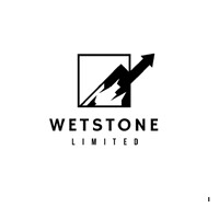 WetStone Limited logo - Similar company to Takeover Entertainment (Tkvr Ent)