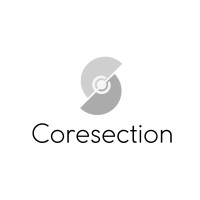 Coresection GmbH logo - Similar company to Connectory.Ch