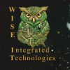 WISE Integrated Technologies LLC logo - Similar company to Dk'S Enterprises, Ltd.
