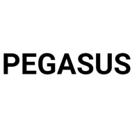 Pegasus FZ LLC logo - Similar company to Sacbe Dmcc
