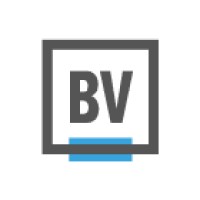 BrandVerity logo - Similar company to Io.Tt