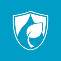 The Wellspring Private School logo - Similar company to Brava Consultancy