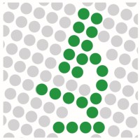 German BioImaging - Gesellschaft für Mikroskopie und Bildanalyse e.V. logo - Similar company to Nfdi4Bioimage