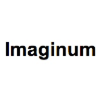 Imaginum (DK) logo - Similar company to Imaginum