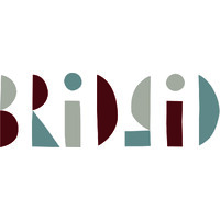 Bridgid Coulter Design, LLC logo - Similar company to The Diamond Plug Inc
