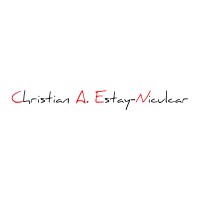 C. A. Estay-Niculcar logo - Similar company to Server Group