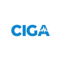 CIGA Healthcare Ltd logo - Similar company to Ciga - Soluções Metálicas