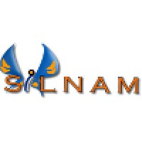 SILNAM IT Solutions ( PTY) LTD logo - Similar company to Tel-Com Systems