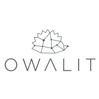 Owalit AB logo - Similar company to Gamestatify