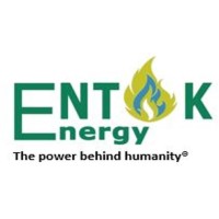 ENTAK ENERGY AND LPG SERVICES LIMITED logo - Similar company to Limbe Labs