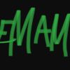 EMAM Limited logo - Similar company to Executive Solutions Group
