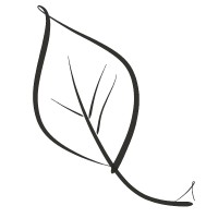 Paper Leaf Bindery And Designs