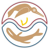 Jadin Tech, LLC logo - Similar company to Chi Systems, Inc.