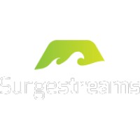 SurgeStreams logo - Similar company to Staffwise Llc