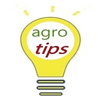 Agro.Tips logo - Similar company to Rijo Pallets